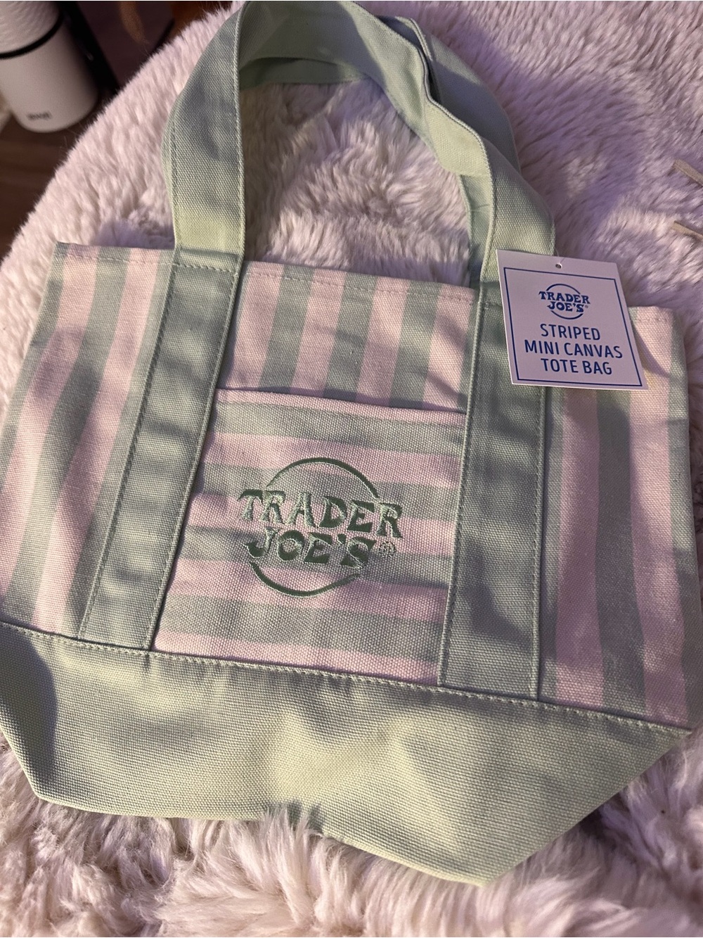 Trader Joe’s Striped Mini Canvas Tote Bag in Pastel Green